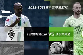 沃尔夫斯堡客场告负，遭遇挫折