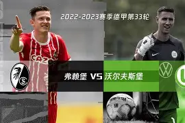 沃尔夫斯堡客场告负，遭遇挫折